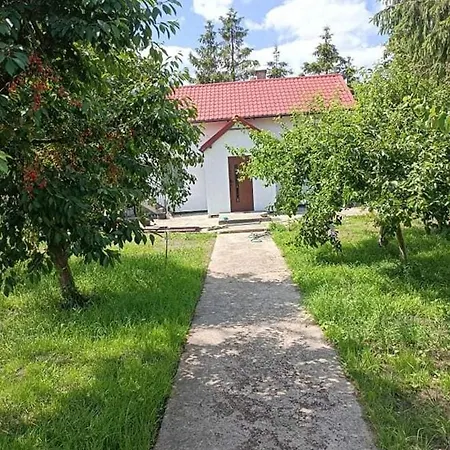 別荘 Avokado Wiejski Turystyczny Kolo Nadmorskiego Grzybowa Stary Borek